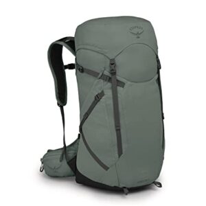 Osprey Sportlite 30L Unisex Hiking Backpack, Pine Leaf Green, M/L