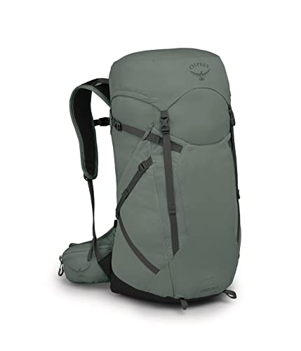 Osprey Sportlite 30L Unisex Hiking Backpack, Pine Leaf Green, M/L