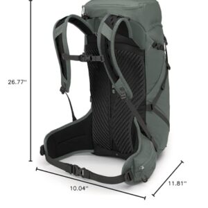 Osprey Sportlite 30L Unisex Hiking Backpack, Pine Leaf Green, M/L