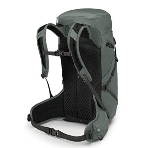 Osprey Sportlite 30L Unisex Hiking Backpack, Pine Leaf Green, M/L