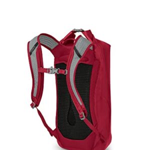 Osprey Transporter 18L Roll Top Waterproof Laptop Backpack, Poinsettia Red