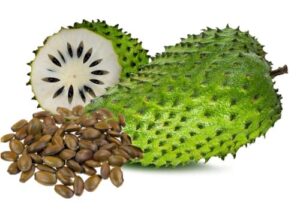 pending 20 soursop, graviola, guanabana, paw-paw, sirsak, prickly custard, annona muricata seeds- white fleshed exotic fruit!, seeds