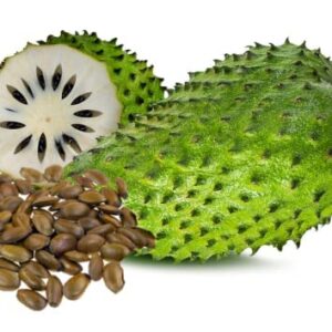 PENDING 20 Soursop, Graviola, Guanabana, Paw-paw, Sirsak, Prickly Custard, Annona Muricata Seeds- White Fleshed Exotic Fruit!, Seeds