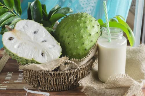 PENDING 20 Soursop, Graviola, Guanabana, Paw-paw, Sirsak, Prickly Custard, Annona Muricata Seeds- White Fleshed Exotic Fruit!, Seeds