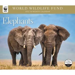 2024 world wildlife fund elephants wall calendar with 2 free year planners (20 dollar value)