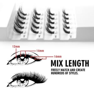 EYELASH EVOLUTION DIY Extension Korean PBT Fiber 3D Effect Mixing Length - Reusable Artificial Eyelashes Multi-pack Three Lengths 20 Lash Clusters For that Volume Look