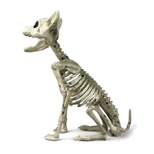 makeatree halloween decoration mini skeleton cat kitten, plastic crouching sitting cat bones for pose skeleton prop indoor spooky scene haunted house party favors décor