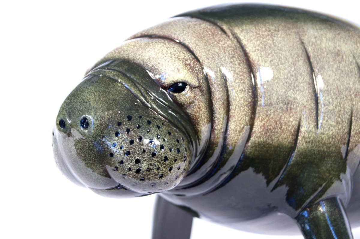 Star Int'l Hand Painted Manatee Sea Cow Replica Figurine Statue 8"