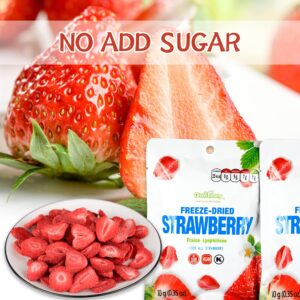 ONETANG Freeze-Dried Fruit Strawberry, 10 Pack Single-Serve Pack, Non GMO, Kosher, No Add Sugar, Gluten free, Vegan, Holiday Gifts, Healthy Snack 0.35 Ounce