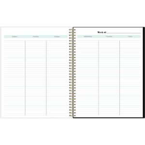 Blue Sky Undated Academic Year Teacher Weekly Lesson Planner, 8.5" x 11", Flexible Cover, Wirebound, Gale (136608-A23)