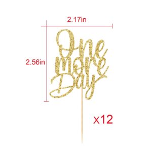 One More Day Cupcake Toppers, 12 pcs Wedding Rehearsal, Bachelorette Party Decorations Supplies, Wedding Countdown Dessert Sign, Rehearsal Brunch Dinner Decor, Pre-assembled, Double-sided Gold Glitter