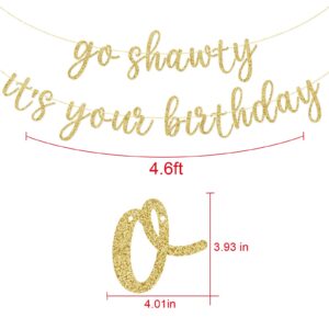 Go Shawty It's Your Birthday Banner, Hip Hop Birthday Party Decorations Supplies, Rap Theme Bday Bunting Sign, Pre-strung, Photo Props (Gold)