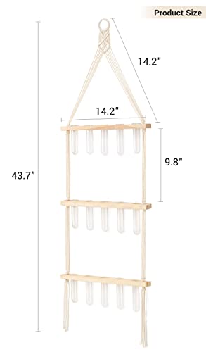 Mkono Macrame Plant Propagation Tubes, 3 Tier Boho Wall Hanging Plant Terrarium Vase Indoor Glass Planter for Propagating Hydroponic Houseplants Home Office Wall Plant Decor Gifts for Women