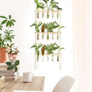 Mkono Macrame Plant Propagation Tubes, 3 Tier Boho Wall Hanging Plant Terrarium Vase Indoor Glass Planter for Propagating Hydroponic Houseplants Home Office Wall Plant Decor Gifts for Women