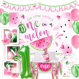 one in a melon party decorations, watermelon first birthday party supplies, watermelon birthday party supplies, one in a melon backdrop high chair banner, baby 1st birthday balloon boxes for girl 1st birthday party