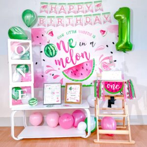 One in A Melon Party Decorations, Watermelon First Birthday Party Supplies, Watermelon Birthday Party Supplies, One in a Melon Backdrop High Chair Banner, Baby 1st Birthday Balloon Boxes for Girl 1st Birthday Party