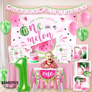 One in A Melon Party Decorations, Watermelon First Birthday Party Supplies, Watermelon Birthday Party Supplies, One in a Melon Backdrop High Chair Banner, Baby 1st Birthday Balloon Boxes for Girl 1st Birthday Party