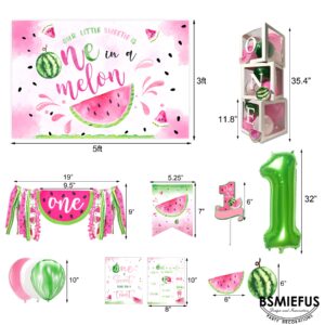 One in A Melon Party Decorations, Watermelon First Birthday Party Supplies, Watermelon Birthday Party Supplies, One in a Melon Backdrop High Chair Banner, Baby 1st Birthday Balloon Boxes for Girl 1st Birthday Party