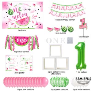 One in A Melon Party Decorations, Watermelon First Birthday Party Supplies, Watermelon Birthday Party Supplies, One in a Melon Backdrop High Chair Banner, Baby 1st Birthday Balloon Boxes for Girl 1st Birthday Party