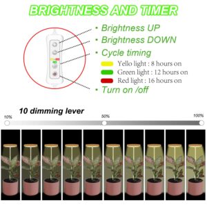 Plant Grow Light for Indoor Plant,Bamboo Mini LED Grow Light Garden,Height Adjustable,Automatic Timer with 8/12/16 Hours