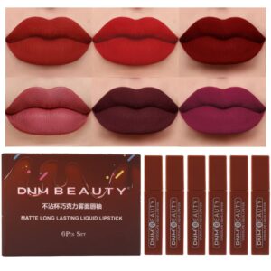 evpct 6Pcs Long Lasting Dark Red Black Matte Liquid Lipsticks Set 24 labiales matte mate larga duracion 24 horas originales DNM Matte Lipstick Long Lasting 24 Waterproof Lip Stain for Black Women 02