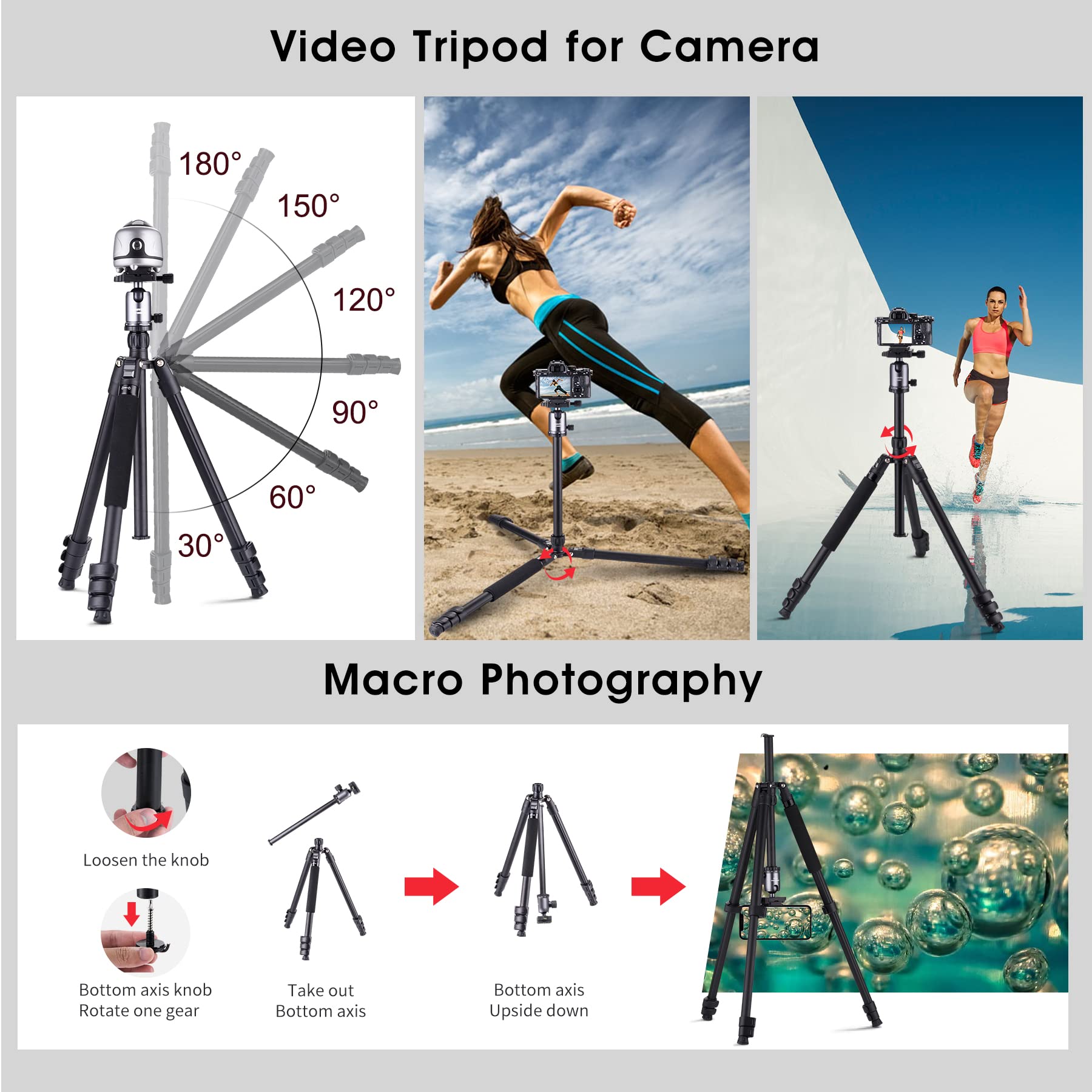 PHOSNOVA Compact Camera Tripod 62",Lightweight Travel Tripod for DSLR with 360 Degree Ball Head Detachable,Camera Monopod,11lbs Load for Video Camcorder