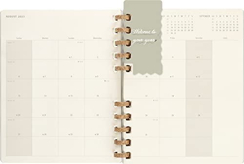 Moleskine Spiral 12 Month 2023 Solar Year Planner, Hard Cover, XXL (8.25" X 11.75"), Smoke