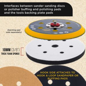 Dura-Gold Pro Series 6" x 10mm Soft Density Interface Pad, 6 +1 Hole Pattern Dustless, 2 Pack - Hook & Loop Foam Cushion, Used Between Vacuum Sander Sanding Discs, Polisher Polishing Pads Backing Pads