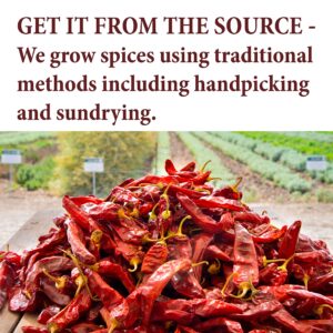 The Spice Way Red Pepper Premium Cayenne Ground - 8 oz - pure chile powder with 80,000 Heat Units