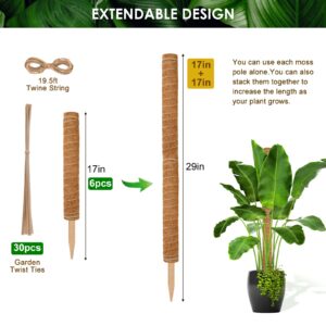 HongWay 77 Inch Moss Pole for Plant Monstera, 6 Pack 17 Inch Moss Plant Support, Monstera Support, Plant Climbing Pole, Moss Plant Stake