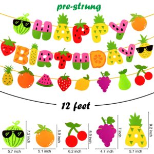 Fruit Theme Birthday Party Decorations Happy Birthday Felt Banner Fruit Patterns Garland for Summer Fruit Birthday Party Baby Shower Supplies