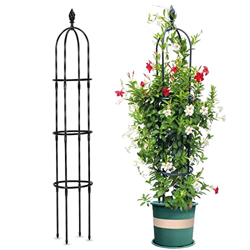 Lalahoni Garden Trellis for Climbing Plants Outdoor, Reinforced 6ft Tall Plant Support Trellis for Potted Plants Climbing Vine Rose Clematis Outdoor Garden Obelisk Trellis, Black, 1pc, Torch Decor