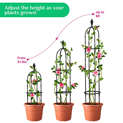 Lalahoni Garden Trellis for Climbing Plants Outdoor, Reinforced 6ft Tall Plant Support Trellis for Potted Plants Climbing Vine Rose Clematis Outdoor Garden Obelisk Trellis, Black, 1pc, Torch Decor