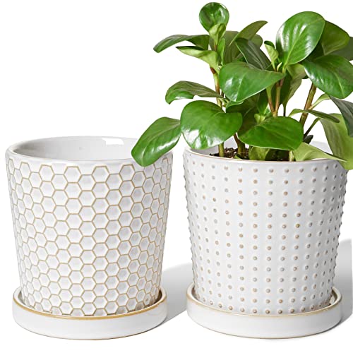 LE TAUCI Ceramic Plant Pots, 5.4 Inch Pots for Indoor Plants, Planters with Drainage Hole and Saucer, Flower Pots for Succulent, Snake Plants and Cactus, Set of 2, Reactive Glaze White