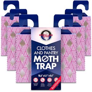 moth traps for clothes & pantry - dual pantry moth trap and clothing moth traps - natural & odor-free closet and pantry moth traps with pheromones - set of 6 moth traps for house