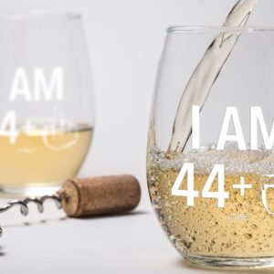 45th Birthday Gifts Wine Glass Men Women | 1979 Birthday Gift for Man Woman turning 45 | Funny 45 th Party Supplies Decorations Ideas | Forty Five Year Old Bday | 45 Middle Finger Gag Wine Presents