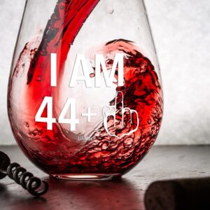 45th Birthday Gifts Wine Glass Men Women | 1979 Birthday Gift for Man Woman turning 45 | Funny 45 th Party Supplies Decorations Ideas | Forty Five Year Old Bday | 45 Middle Finger Gag Wine Presents