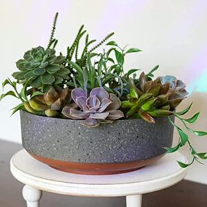 The HC Companies 8 Inch Round Capri Succulent Pot - Decorative Indoor Plastic Planter with Drainage, Faux Concrete with Copper Colored Base