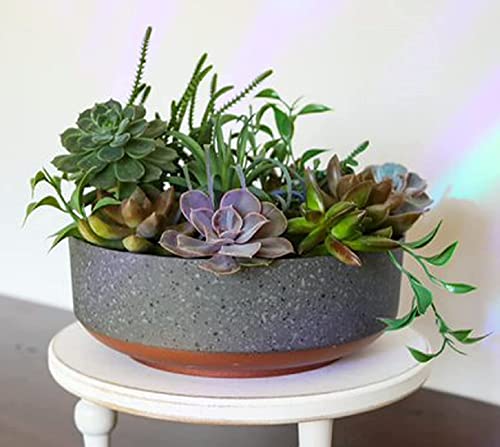 The HC Companies 8 Inch Round Capri Succulent Pot - Decorative Indoor Plastic Planter with Drainage, Faux Concrete with Copper Colored Base