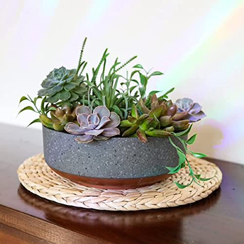 The HC Companies 8 Inch Round Capri Succulent Pot - Decorative Indoor Plastic Planter with Drainage, Faux Concrete with Copper Colored Base