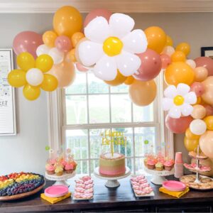 Daisy Party Decorations Set Boho Party Decorations with Happy Birthday Banner Boho Groovy Daisy Flower Balloon Garland Arch for Daisy Retro Hippie Boho Birthday Party Decorations,Groovy Party Supplies