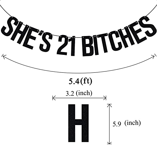 She's 21 Bitches Banner, Girls 21st Birthday Party Decorations, Cheers to 21 Years, 21st Birthday Decorations for Women Black Glitter