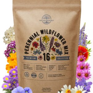 Organo Republic 16 Perennial Wildflower Seeds Mix for Indoor & Outdoors. 100,000+ Non-GMO, Heirloom Wildflower Garden Seeds, 4oz Packet for Growing Wild Flowers to Attract Bees, Butterflies & Birds