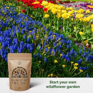 Organo Republic 16 Perennial Wildflower Seeds Mix for Indoor & Outdoors. 100,000+ Non-GMO, Heirloom Wildflower Garden Seeds, 4oz Packet for Growing Wild Flowers to Attract Bees, Butterflies & Birds