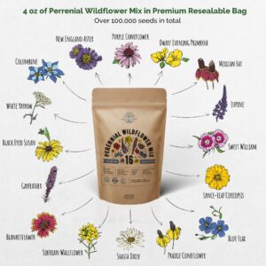 Organo Republic 16 Perennial Wildflower Seeds Mix for Indoor & Outdoors. 100,000+ Non-GMO, Heirloom Wildflower Garden Seeds, 4oz Packet for Growing Wild Flowers to Attract Bees, Butterflies & Birds