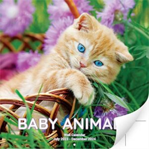 super cute 18 month baby animals wall calendar 2023-2024. big 12x12 inch novelty gift with puppies, kittens and more. great for men, women or kids. perfect stocking stuffer or decor for animal lovers.