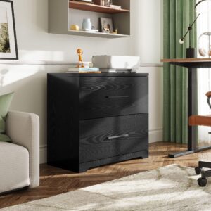 DEVAISE 2 Drawer Wood Lateral File Cabinet with Anti-tilt Mechanism, Storage Filing Cabinet for Home Office, Black