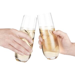 Final Touch Bubbles Stemless Champagne/Sparkling Wine Glasses - Set of 2-8 oz (236 ml)