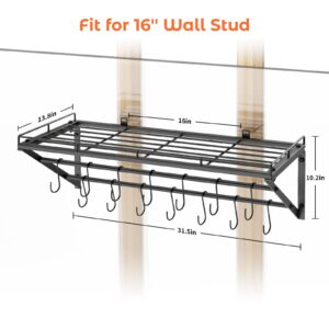 OROPY 31 Inch Wall Mounted Pot Rack Storage Shelf with 2 Tier Hanging Rails 14 S Hooks included, Ideal for Pans, Utensils, Cookware - Black