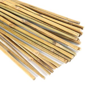 20 pcs 18 inch natural bamboo plant support stakes for indoor plants, bamboo sticks poles garden bamboo stakes for potted plants, tomato, beans